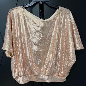 Shimmering Sequin Blouse in Champagne